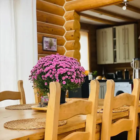 Villa The Pine Chalet Razlog