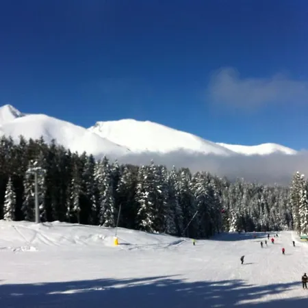 The Pine Chalet * Razlog